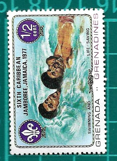 Natación y Salvación