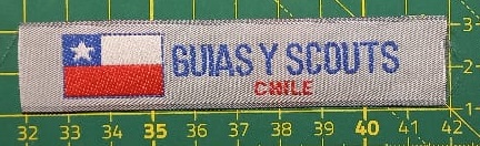 Guías y Scouts de Chile