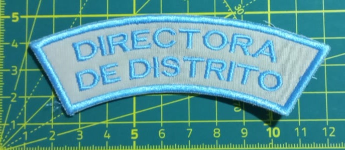 Directora de Distrito