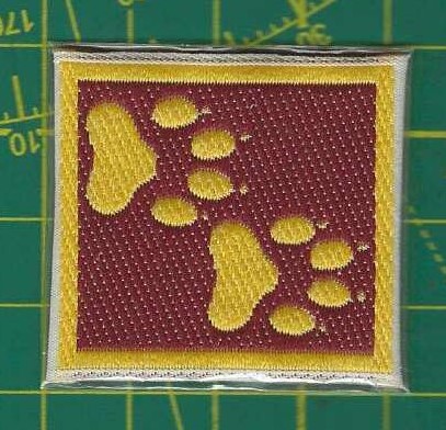 Etapa Explorador (1° Etapa)