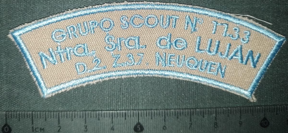 Grupo Scout N° 1133